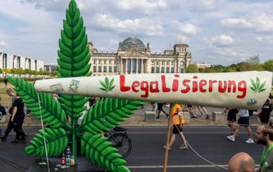 Buy weed in Stuttgart